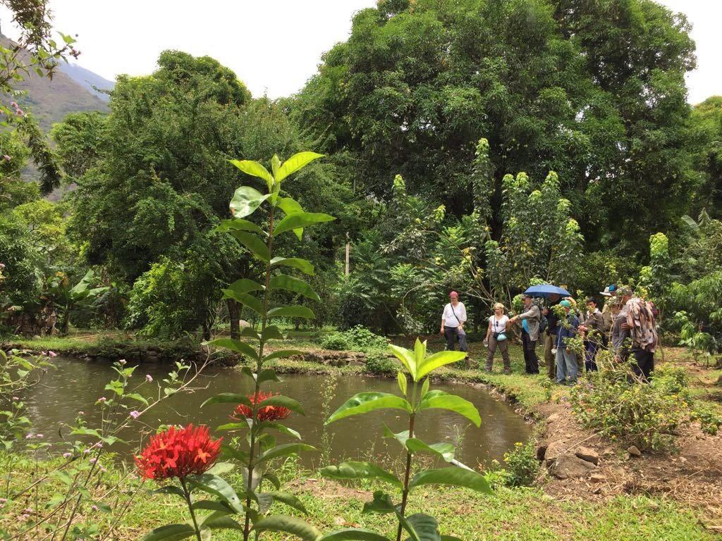 Maranura El Mangal旅舍 外观 照片