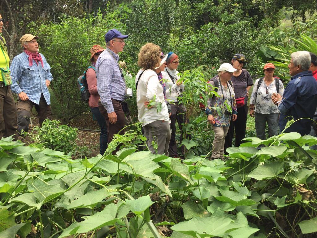 Maranura El Mangal旅舍 外观 照片
