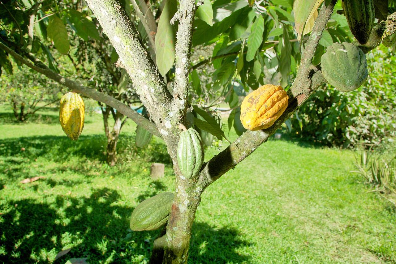 Maranura El Mangal旅舍 外观 照片
