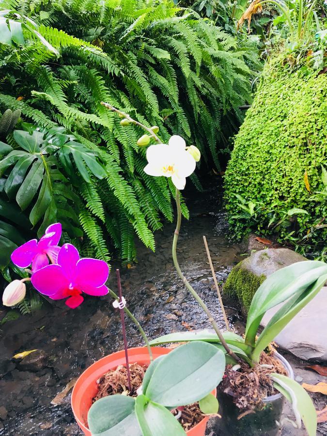 Maranura El Mangal旅舍 外观 照片
