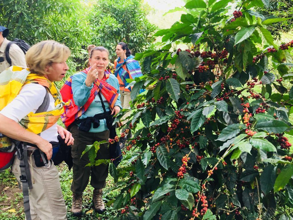 Maranura El Mangal旅舍 外观 照片