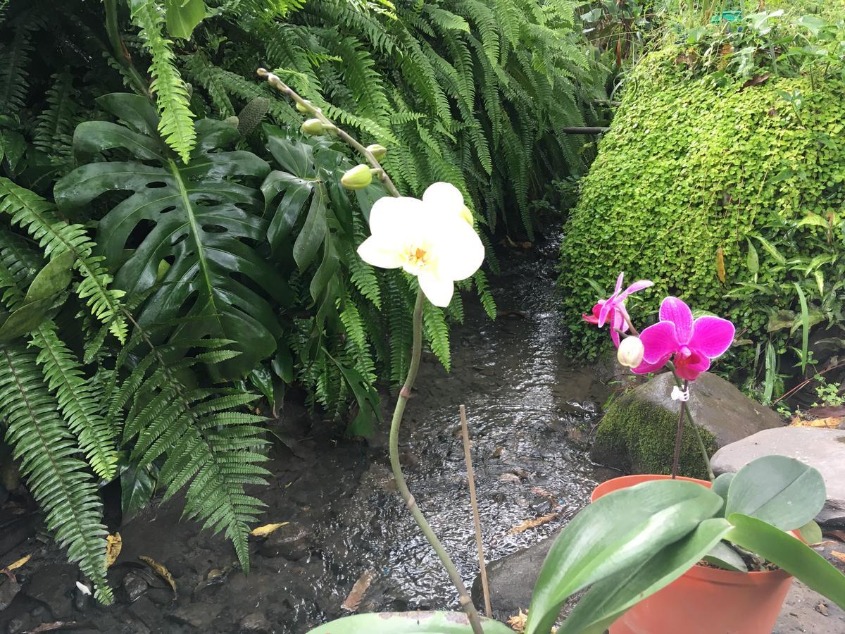 Maranura El Mangal旅舍 外观 照片